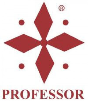 Professor