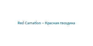Red Carnation – Красная гвоздика