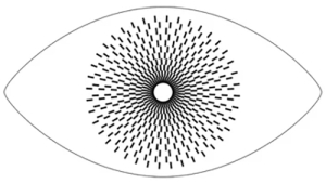 The Eyes Are Always There