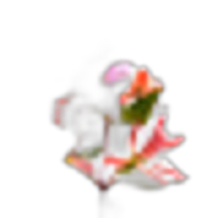 Abelia