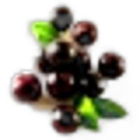 Acai Berry