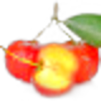 Acerola