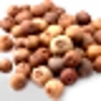 Allspice