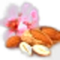 Almond Blossom