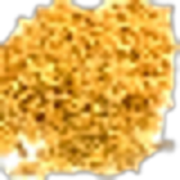 Anise