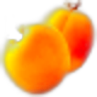 Apricot