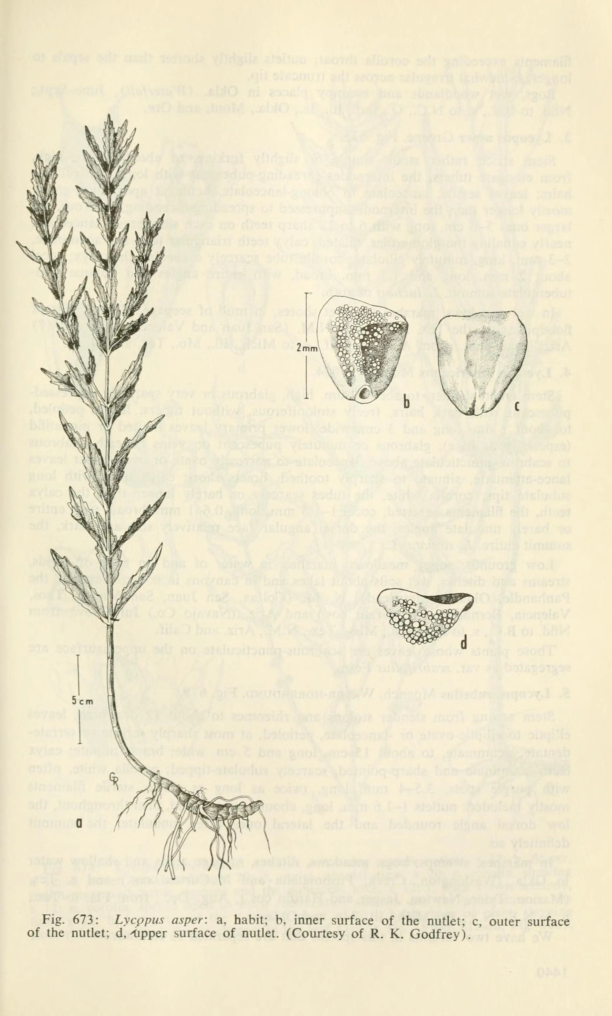 Aquatic notes