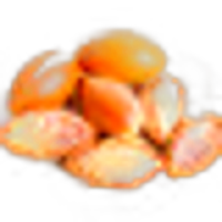 Argan