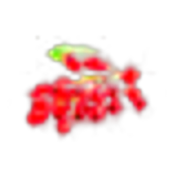 Barberry