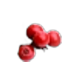 Bearberry