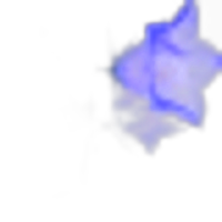 Bellflower