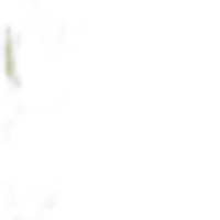 Bigarane™