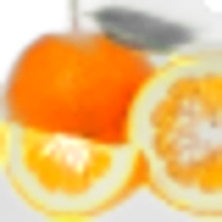 Bitter Orange