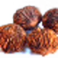 Black Walnut
