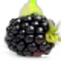 Blackberry