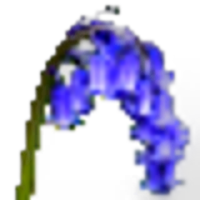 Bluebell