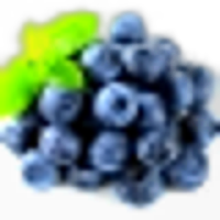 Blueberry