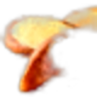 Brazil nut