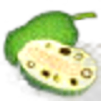 Breadnut