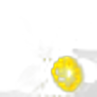 Calamansi