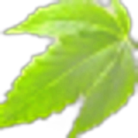 cannabis