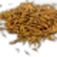 Caraway