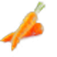 Carrot
