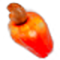 Cashew