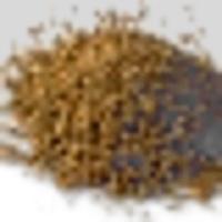 Celery Seeds