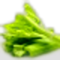 Celery