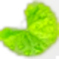 Centella Asiatica