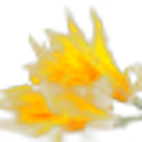 Champaca