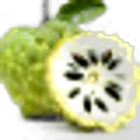 Cherimoya
