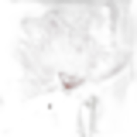 Cherry Blossom