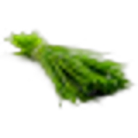 Chive