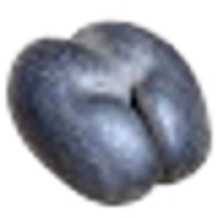 Coco De Mer