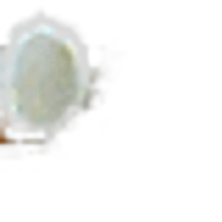 Coconut Powder