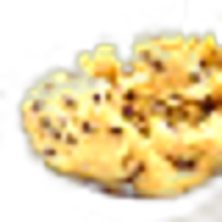 Cookie Dough