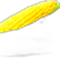 Corn