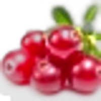 Cranberry