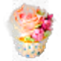 Creamy Flowers