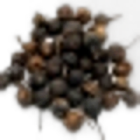 Cubeb or Tailed pepper