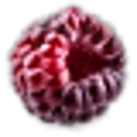 Dewberry