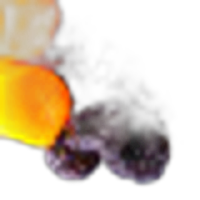Dried Fruits