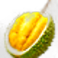 Durian