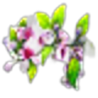 Fig Blossom