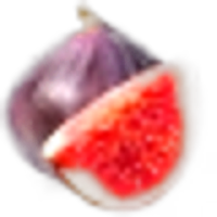 Fig