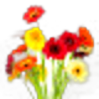 Floral Notes