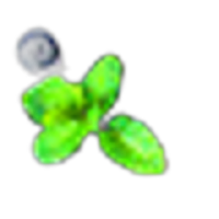 Forest Fruits