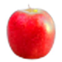 Fuji Apple